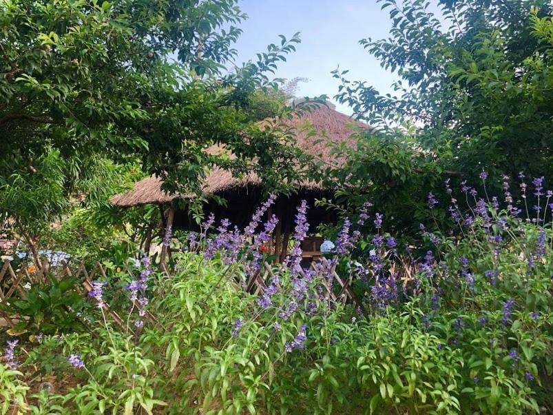 Savana Moc Chau Bed and Breakfast Exterior foto