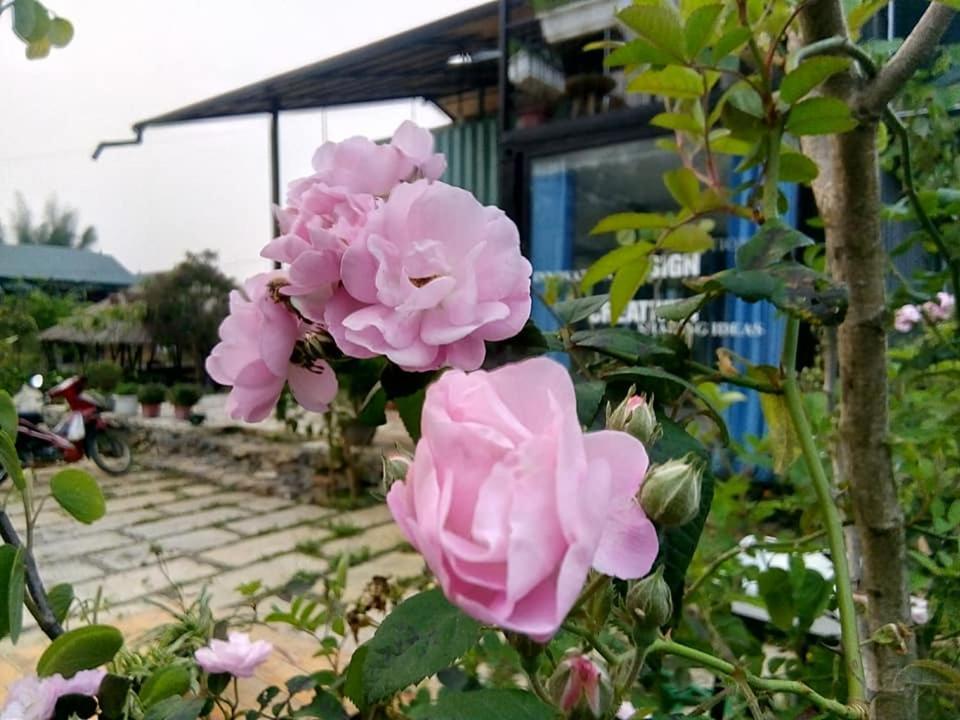 Savana Moc Chau Bed and Breakfast Exterior foto